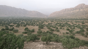 iran landscape
